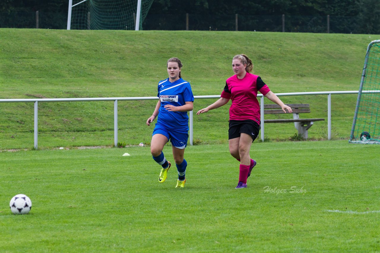 Bild 412 - B-Juniorinnen FSG BraWie 08 - JSG Sandesneben : Ergebnis: 2:0